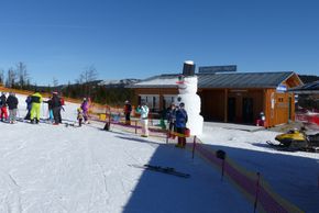 Information about the ski resort Arber