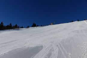 Information about the ski resort Arber