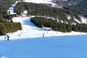 Information about the ski resort Arber