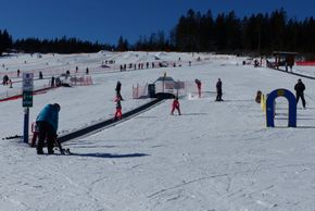 Information about the ski resort Arber