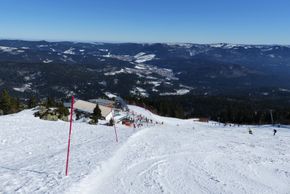 Information about the ski resort Arber