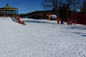 Information about the ski resort Arber