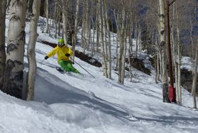 Tree-Skiing in Aspen Mountain