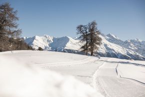 Information about the ski resort Bürchen