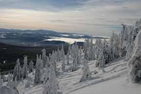 Freeriders also get their money's worth at Mt. Baldy.