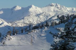 Information about the ski resort Bear Valley