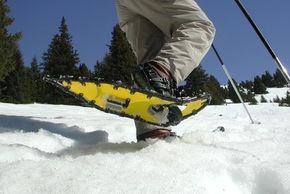 Information about the ski resort Bergün Filisur