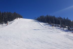 Information about the ski resort Bergbahnen See