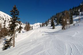 Information about the ski resort Biberwier Marienberg