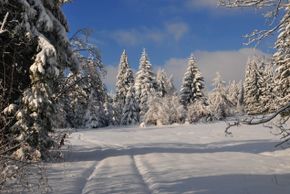 Information about the ski resort Bleaml Alm