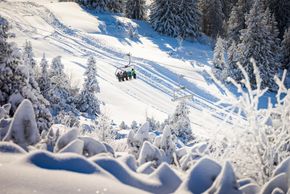 Information about the ski resort Brandnertal