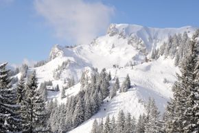 Information about the ski resort Brauneck
