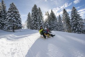 Information about the ski resort Braunwald