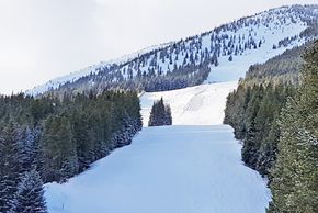Information about the ski resort Castle Mountain Resort