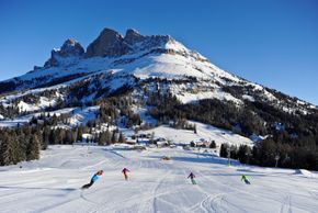 Information about the ski resort Carezza Dolomites