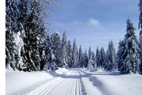 Cross-country trails around Carlsfeld