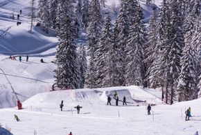 Information about the ski resort Cerklje Kravec