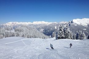 Information about the ski resort Chur Brambrüesch