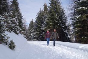 Information about the ski resort Chur Brambrüesch