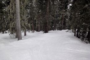 Information about the ski resort Durango Purgatory