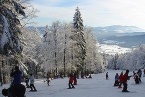 Information about the ski resort Eck