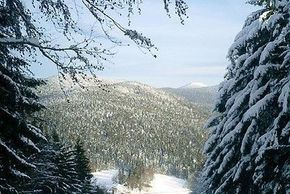 Information about the ski resort Eck