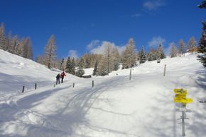 Information about the ski resort Emberger Alm