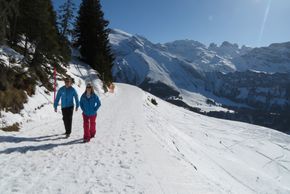 Information about the ski resort Engelberg Titlis
