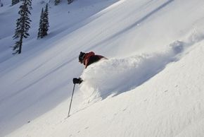 Information about the ski resort Fernie Alpine Resort
