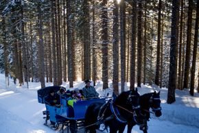 Information about the ski resort Filzmoos