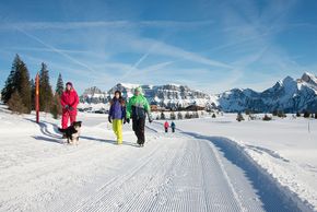 Information about the ski resort Flumserberg