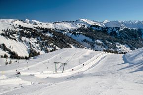 Information about the ski resort Laterns Gapfohl