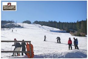 Information about the ski resort Geisskopf