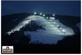 Information about the ski resort Geisskopf