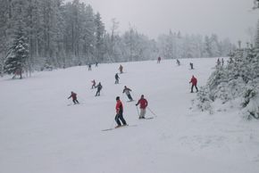 Information about the ski resort Geisskopf