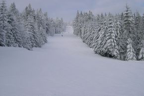 Information about the ski resort Geisskopf