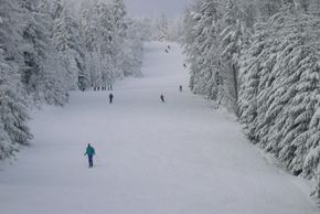 Information about the ski resort Geisskopf