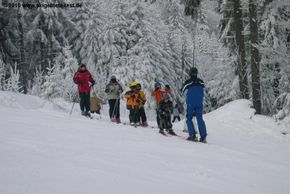 Information about the ski resort Geisskopf