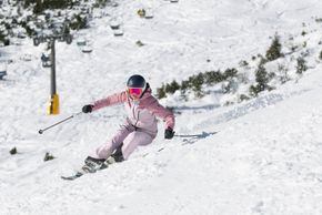 Information about the ski resort Gemeindealpe - Mitterbach