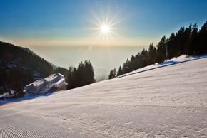 Information about the ski resort Golte