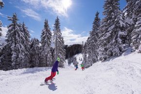 Information about the ski resort Golte