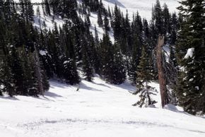 Information about the ski resort Grand Targhee
