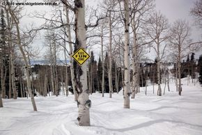 Information about the ski resort Grand Targhee