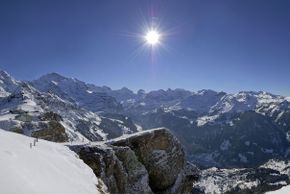 Information about the ski resort Grindelwald - Wengen