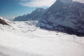 Information about the ski resort Grindelwald - Wengen