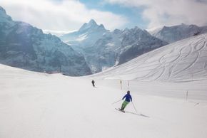 Information about the ski resort Grindelwald - Wengen
