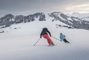 Information about the ski resort Gstaad Mountain Rides