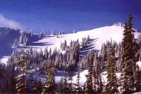 Information about the ski resort Hurricane Ridge Ski Area
