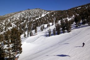 The woods in the upper part of the resort are perfect for tree-skiing.