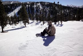 View of beginners' trail park 